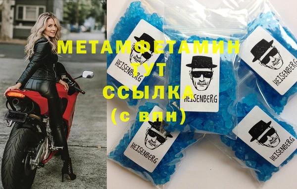 спиды Вяземский